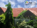 8 architectural-design- home-roof-tiles-construction-insulation-building-materials-terracotta-bricks-clay-roofing-tiles-company-textures-styles-design-pattern-variety-pictures