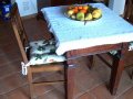 square-4x4-with-antique-furnitures-green-environmentally-friendly-floor-tiles-wall-claddings-split-tiles