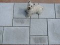 laying-stone-effect-concrete-tiles-images