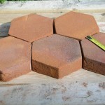 Hexagon terracotta floor tiles pictures Home Designs Photos images