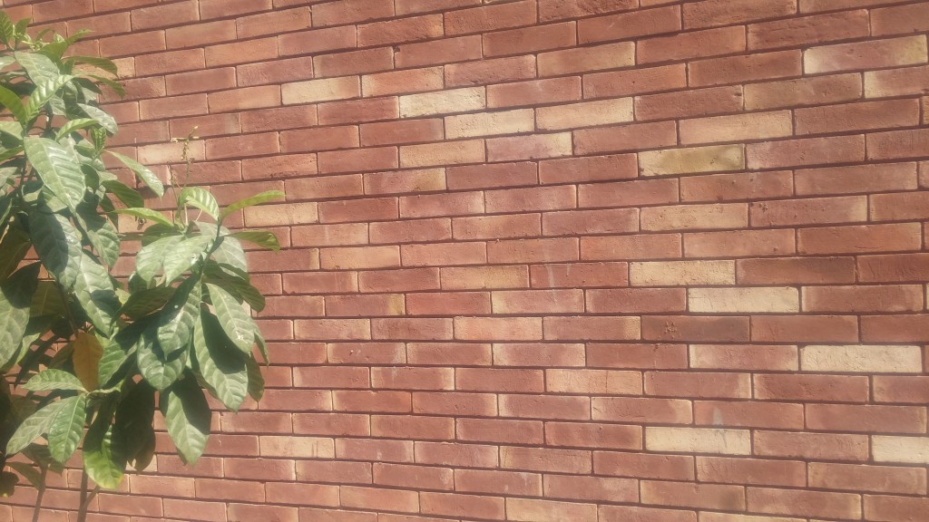 Green eco environment friendly red colors gutka bricks wall face tiles patterns photos in pakistan