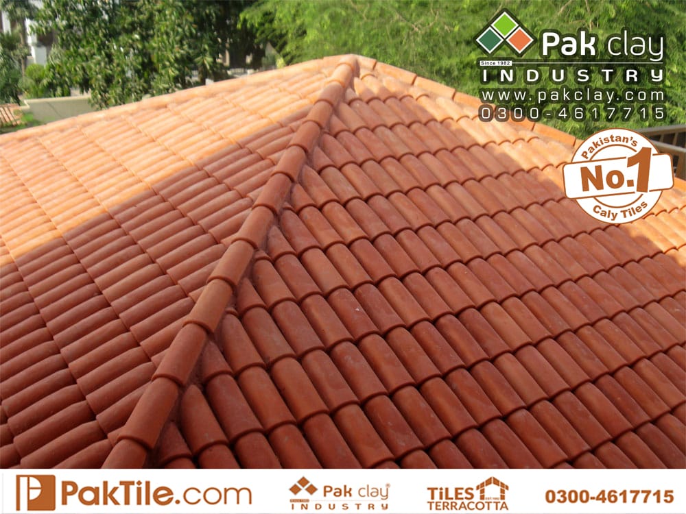 Terracotta roof tiles