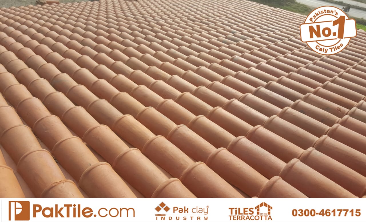 clay roofing tiles design