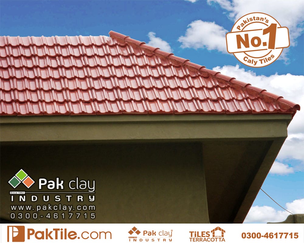 roof tiles types